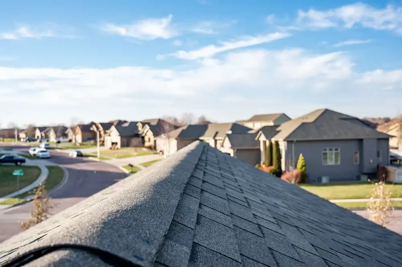 shingle roof