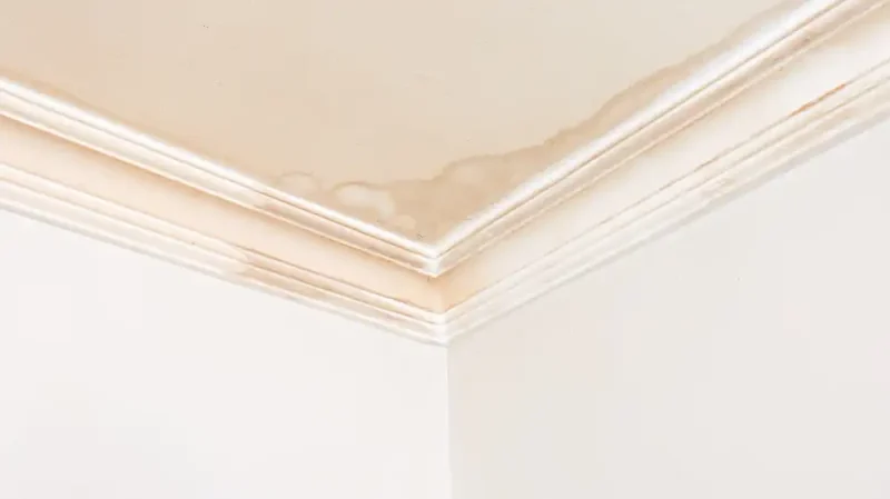 water damage from roof leak