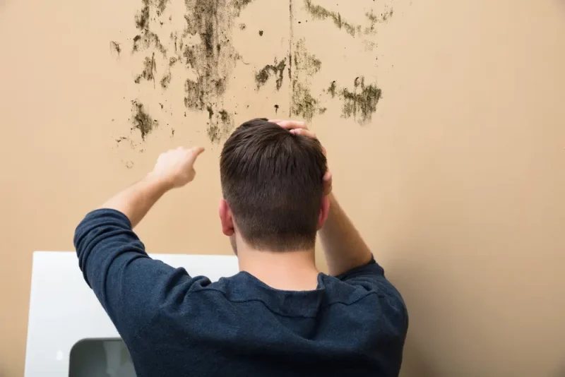 mold created by moisture